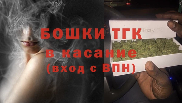 стафф Алексин