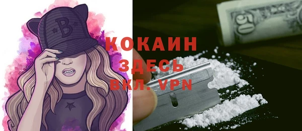 стафф Алексин