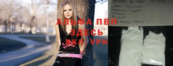 стафф Алексин