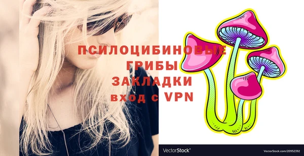 стафф Алексин