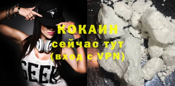 стафф Алексин