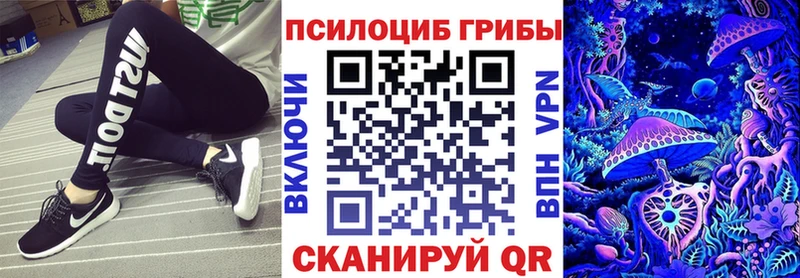 mega онион дарнет шоп Рубцовск сайты даркнета формула Галлюциногенные грибы мицелий